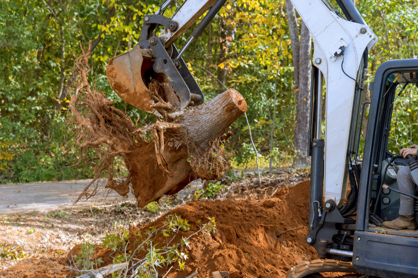 Land clearing in Beaumont, CA